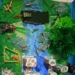 Huk Garden Family Resto